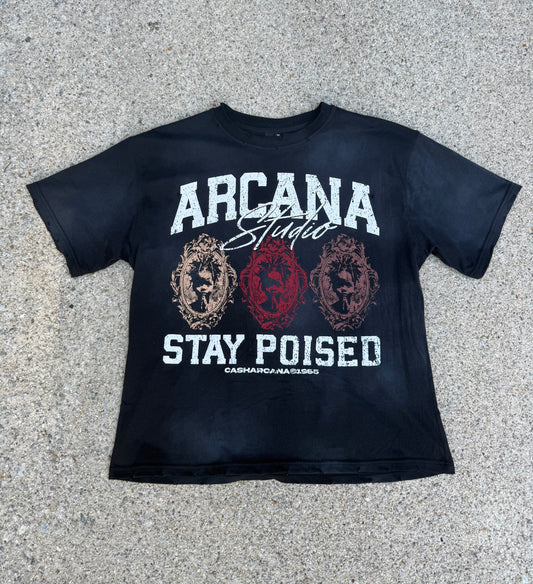 “Poised Triplets” Distressed Tee